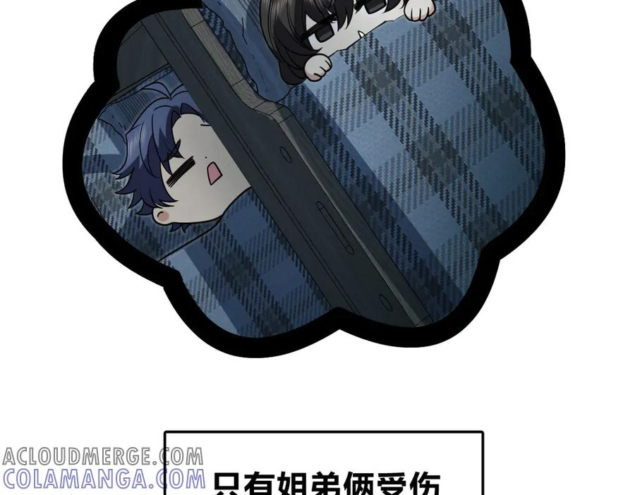 393 第113页