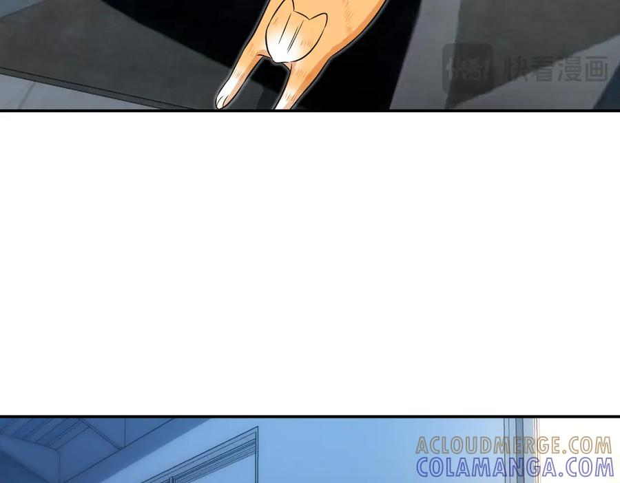 395 第17页