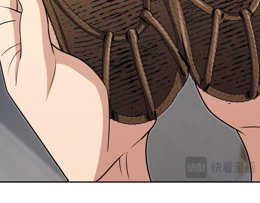 399 第135页