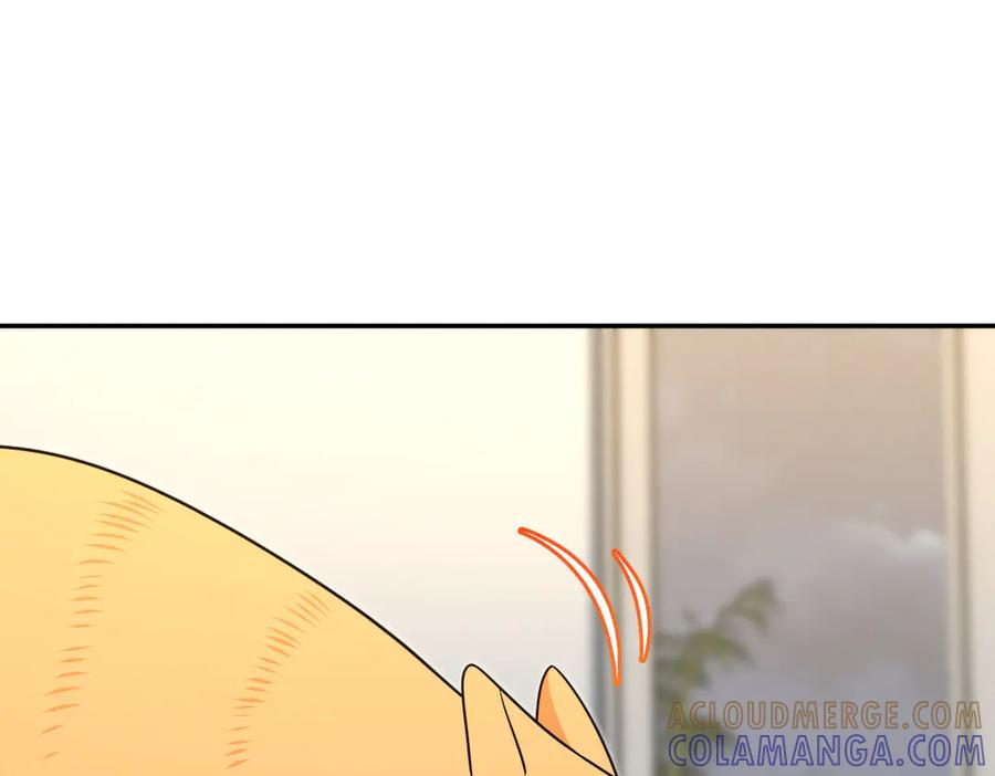 401 第133页