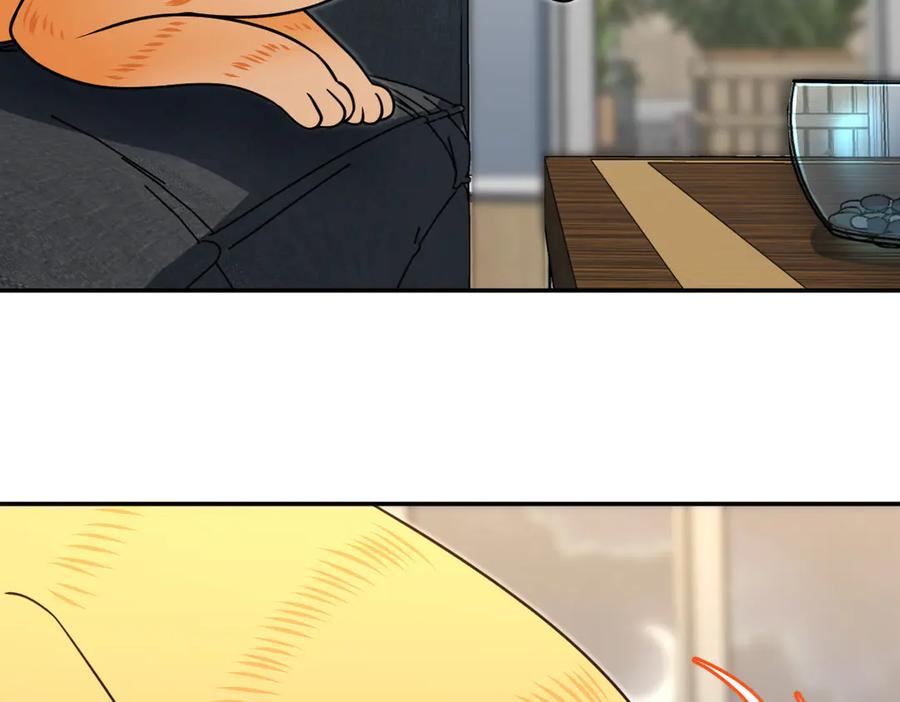 401 第135页