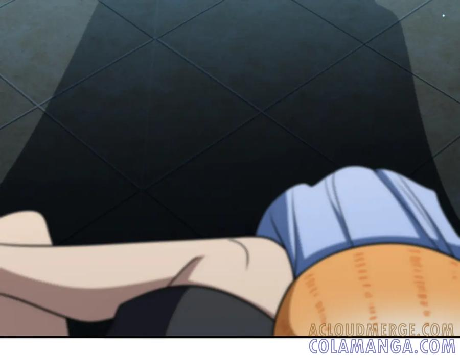 408 第117页