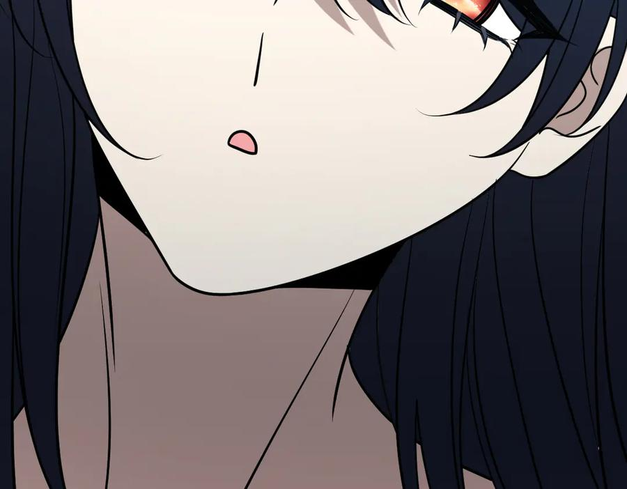 408 第123页