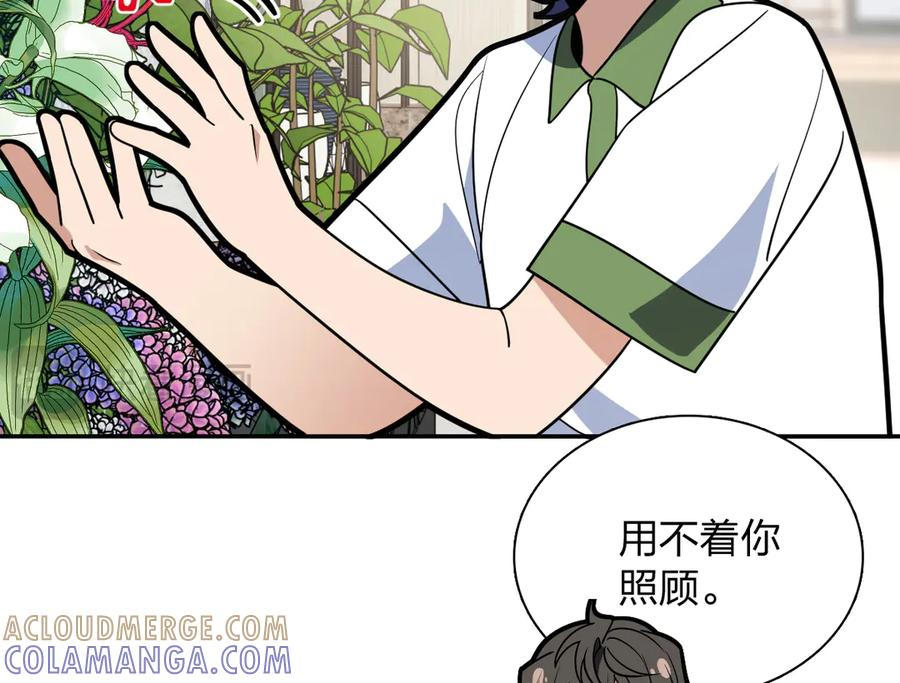 409 第33页