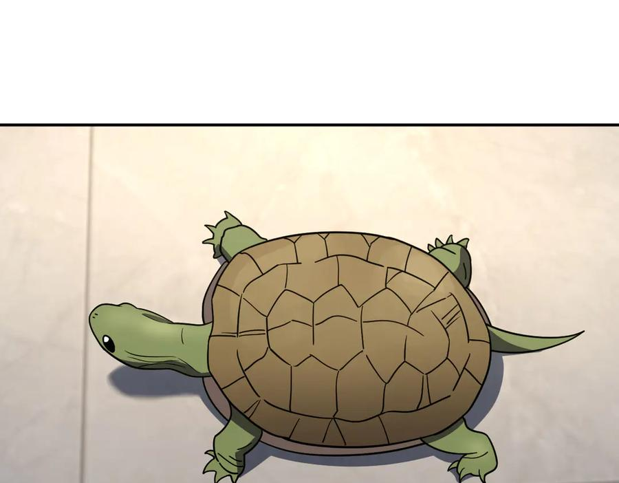 409 第95页