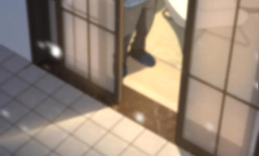 417 第119页