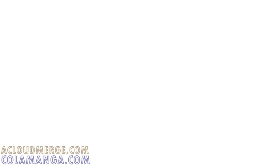 417 第121页