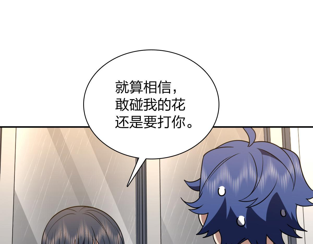 426 第11页