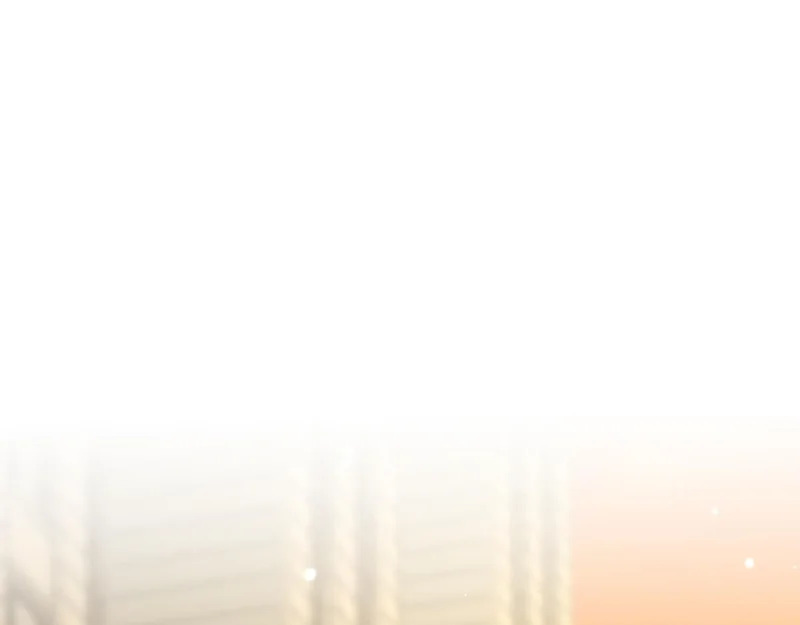 431 第102页