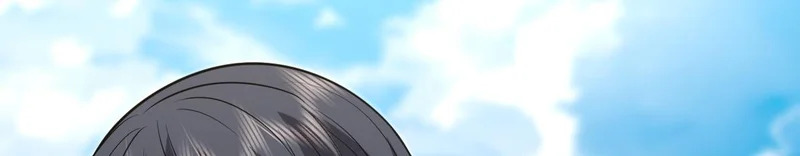 433 第101页