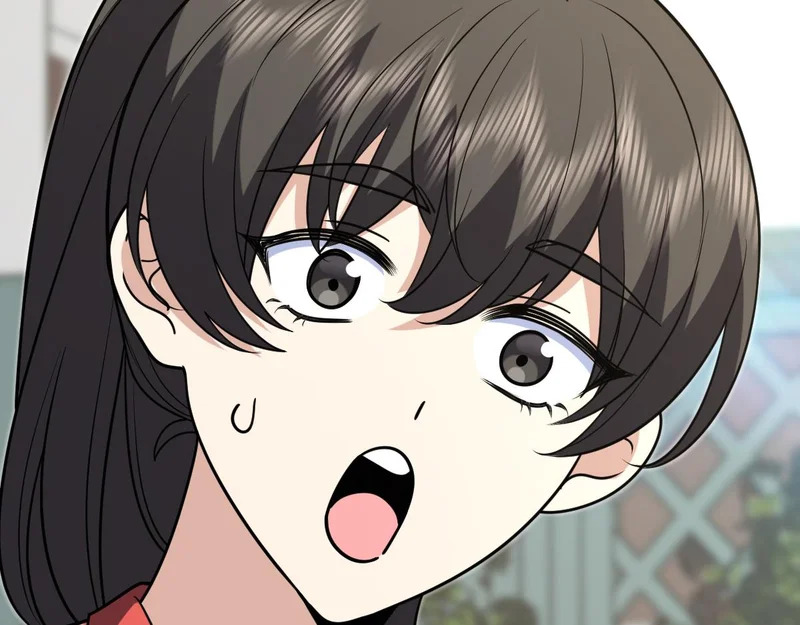 433 第106页
