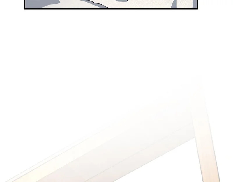 438 第138页