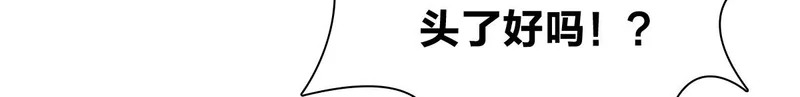 441 第80页