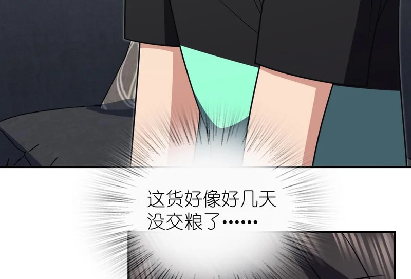 441 第116页