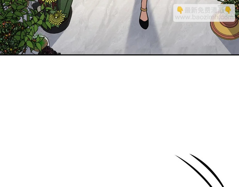 442 第66页