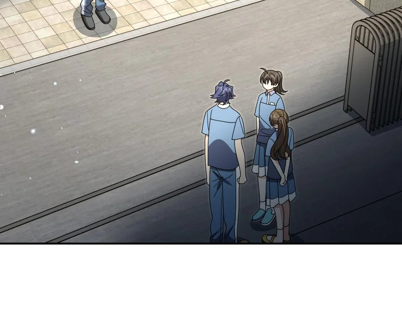 443 第113页