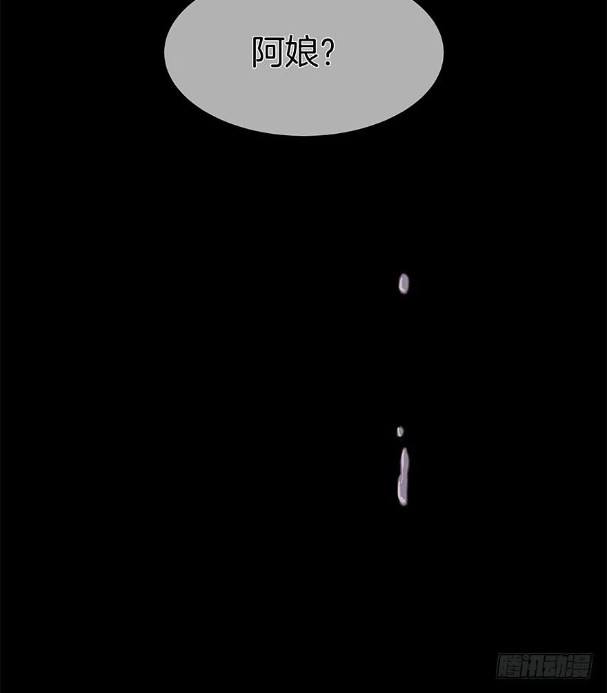 第三十九镜·叶城四 第17页