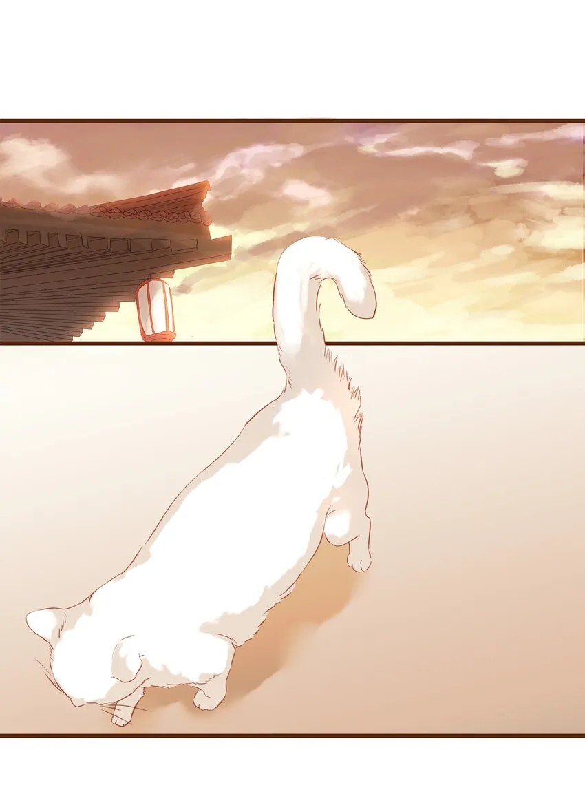 003 我们从不卖假药 第45页