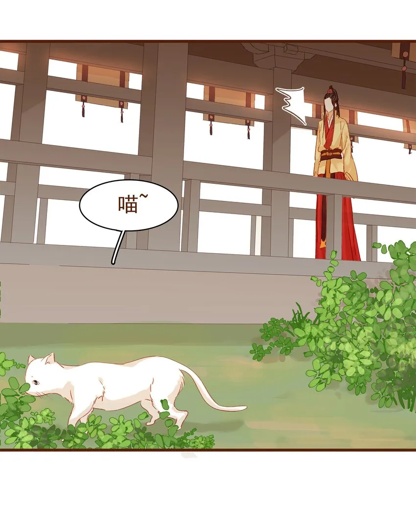 003 我们从不卖假药 第46页