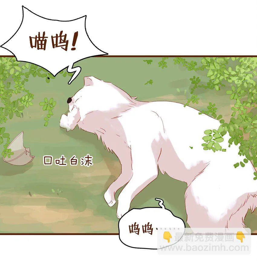 003 我们从不卖假药 第50页