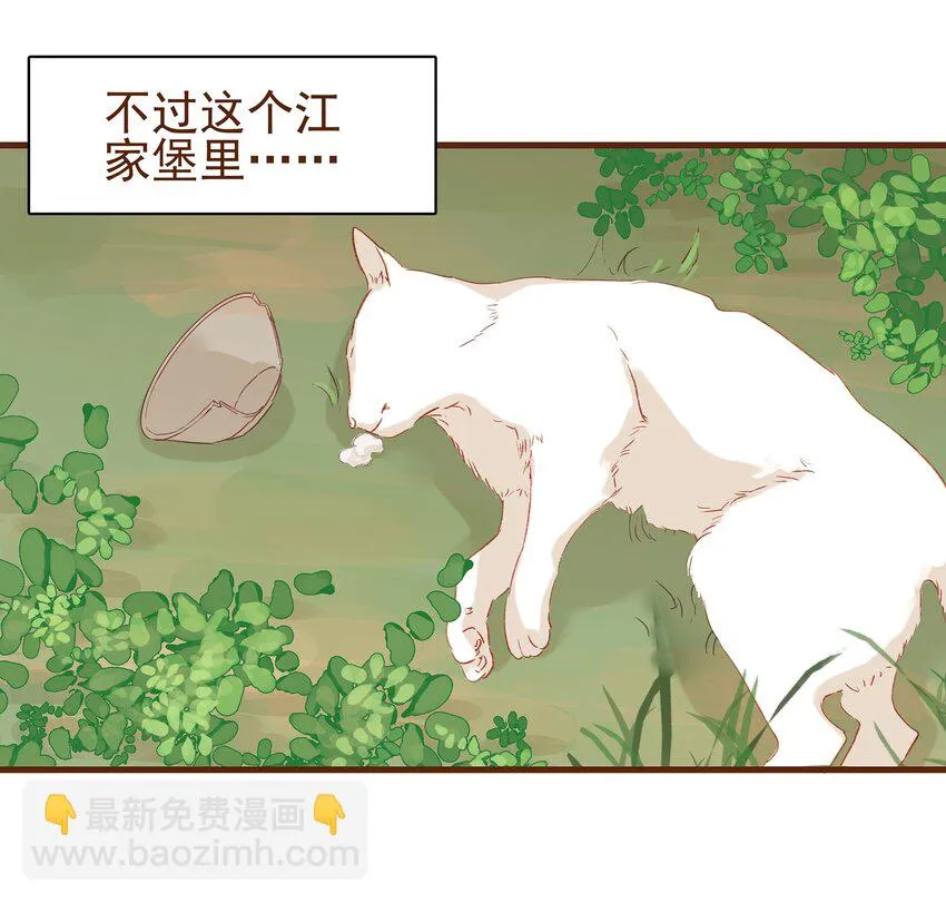 003 我们从不卖假药 第64页