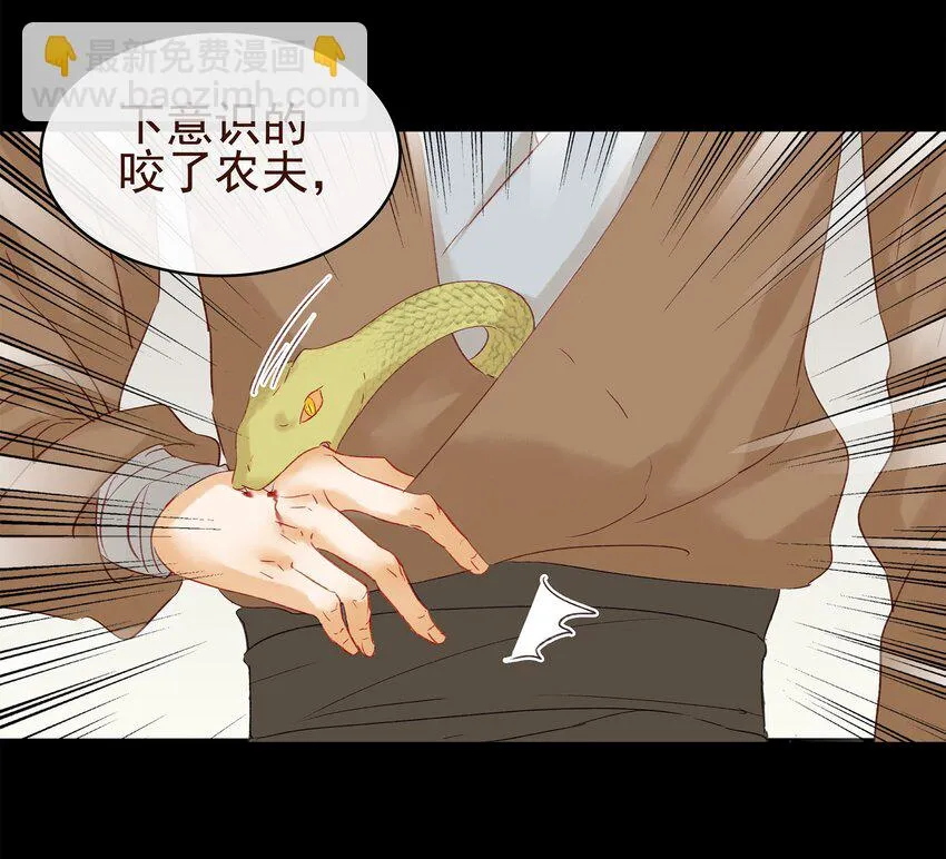 006 暗杀失败怪我咯 第53页