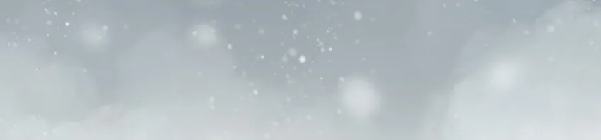番外 圣诞 第12页