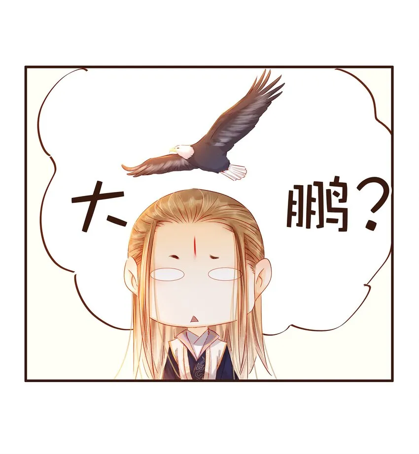 096 设计图 第11页