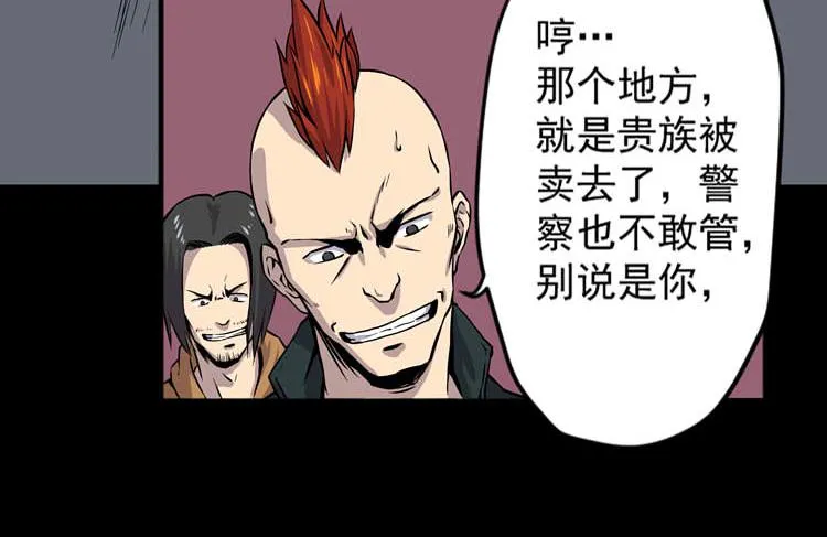全部击杀 第15页