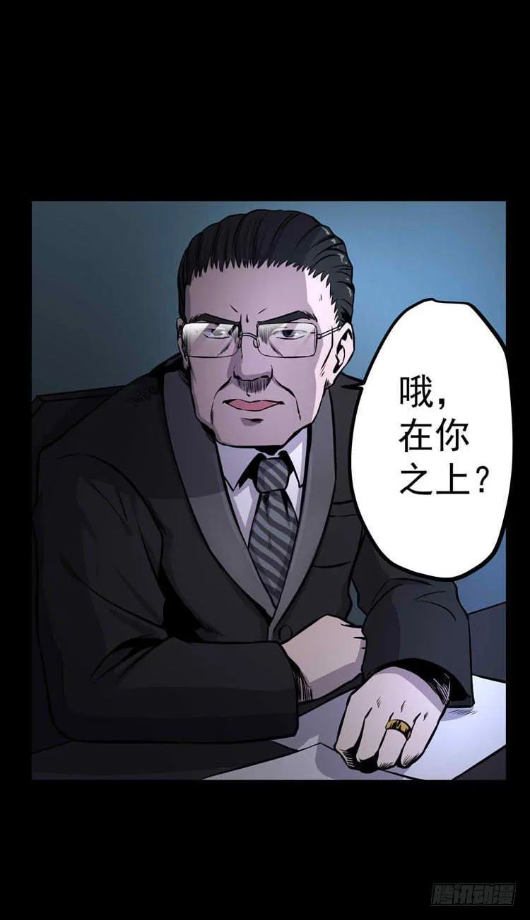 议会巡视代表 第29页