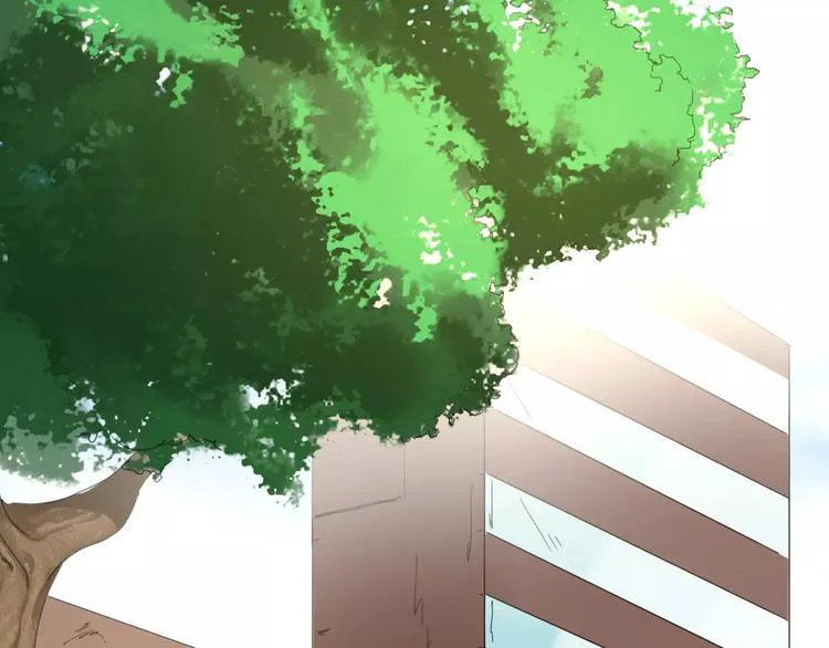 第11话 阳光 第5页