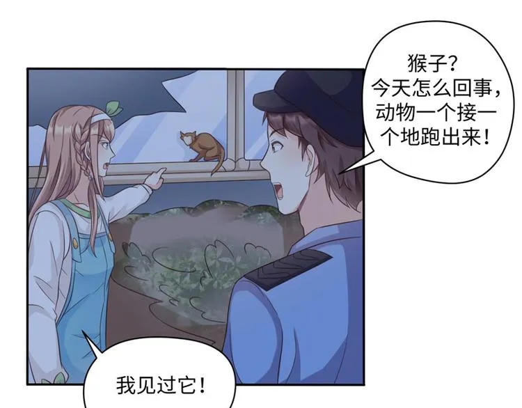 第32话 动物园的“约会” 第51页