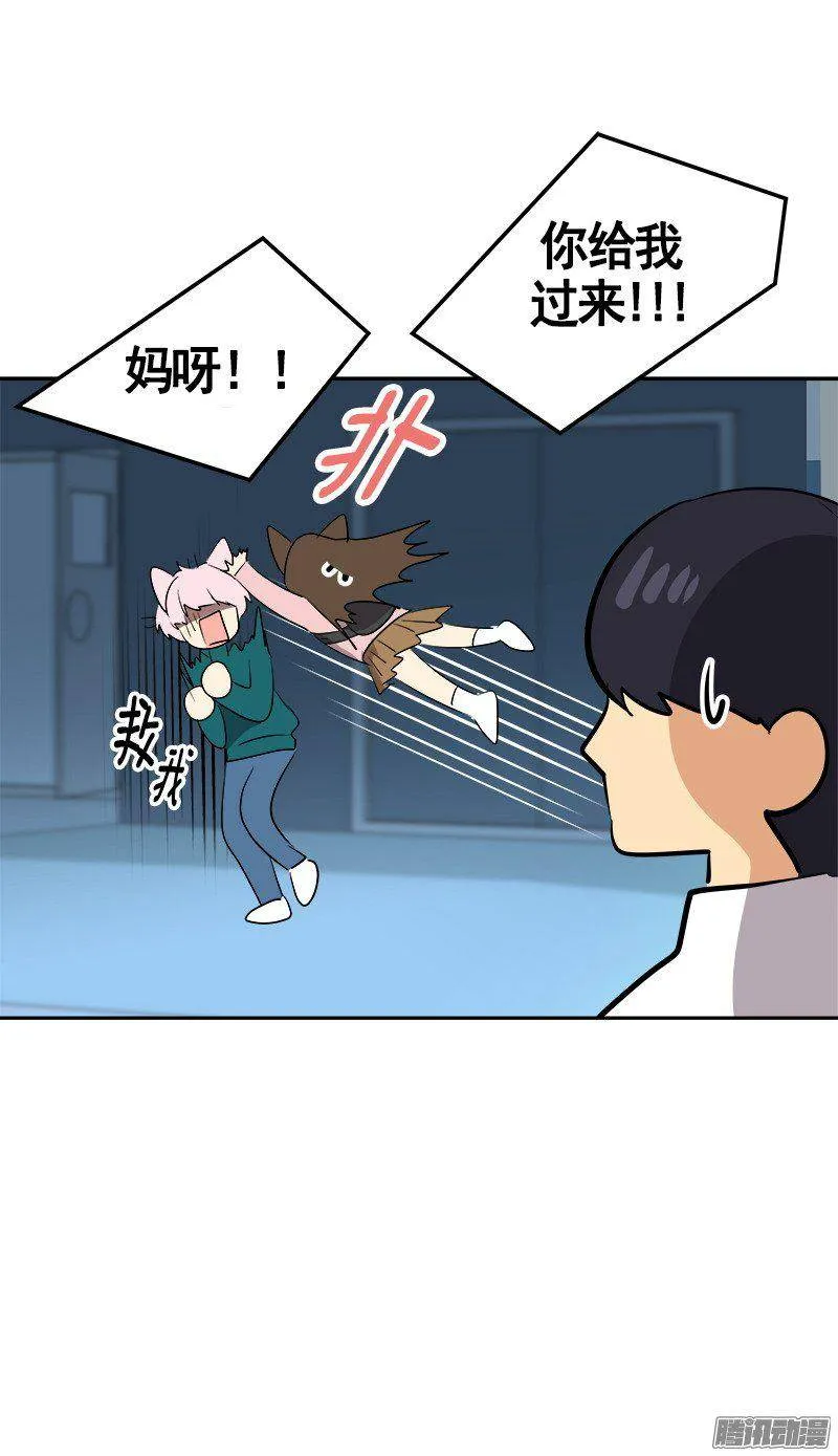 第67话 现场抓包 第11页