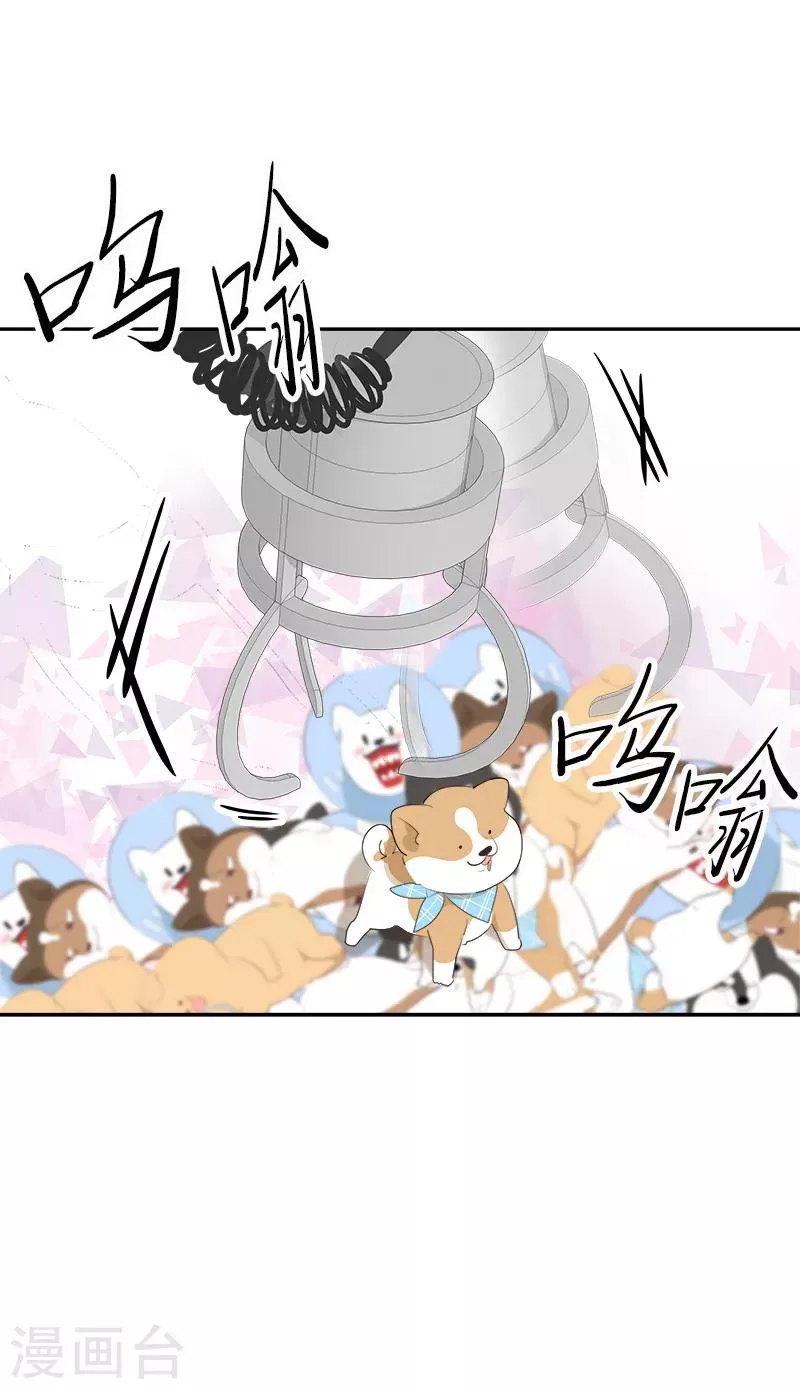 第96话 是谁的心跳声 第3页