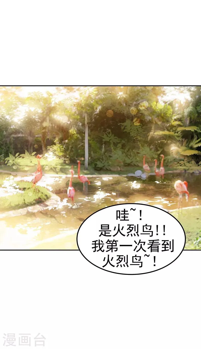 第146话 游逛动物园 第3页