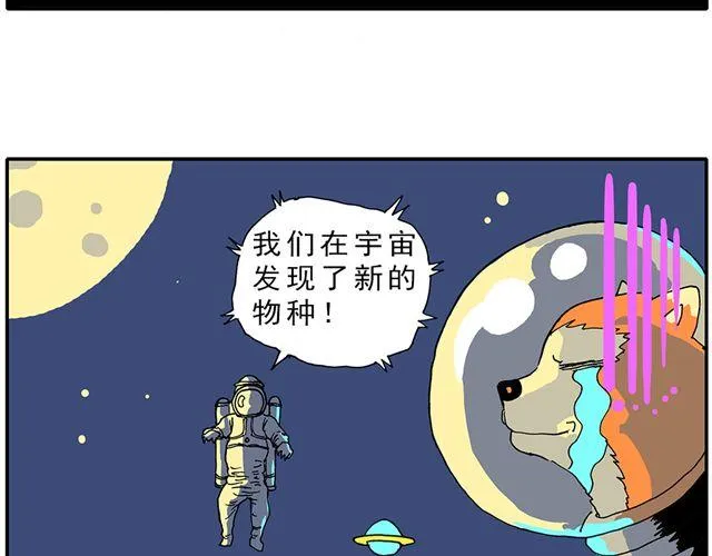 02-03. 豆腐的性能测试 第29页