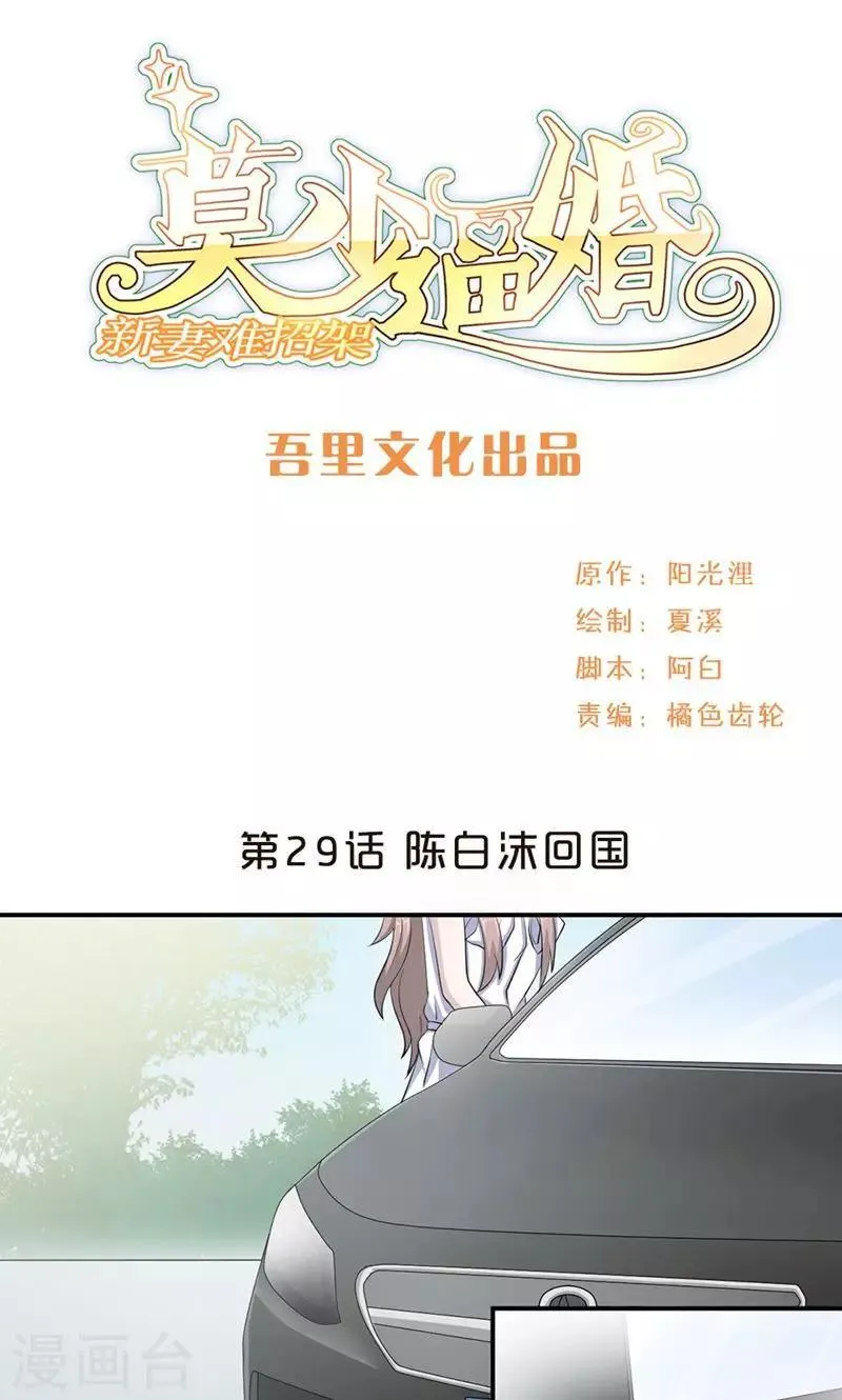 第29话 陈白沫回国 第1页