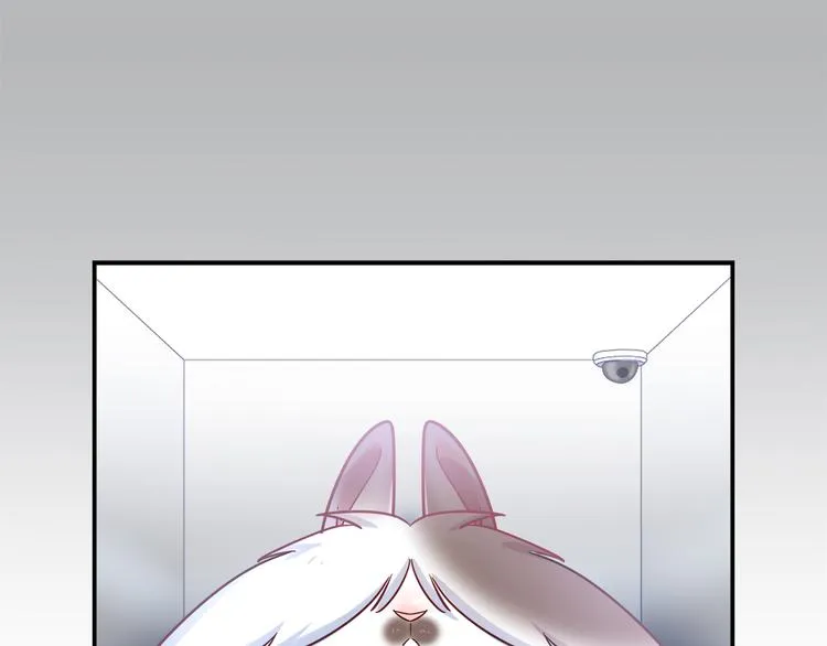 第79话 按你说的去做吧 第6页