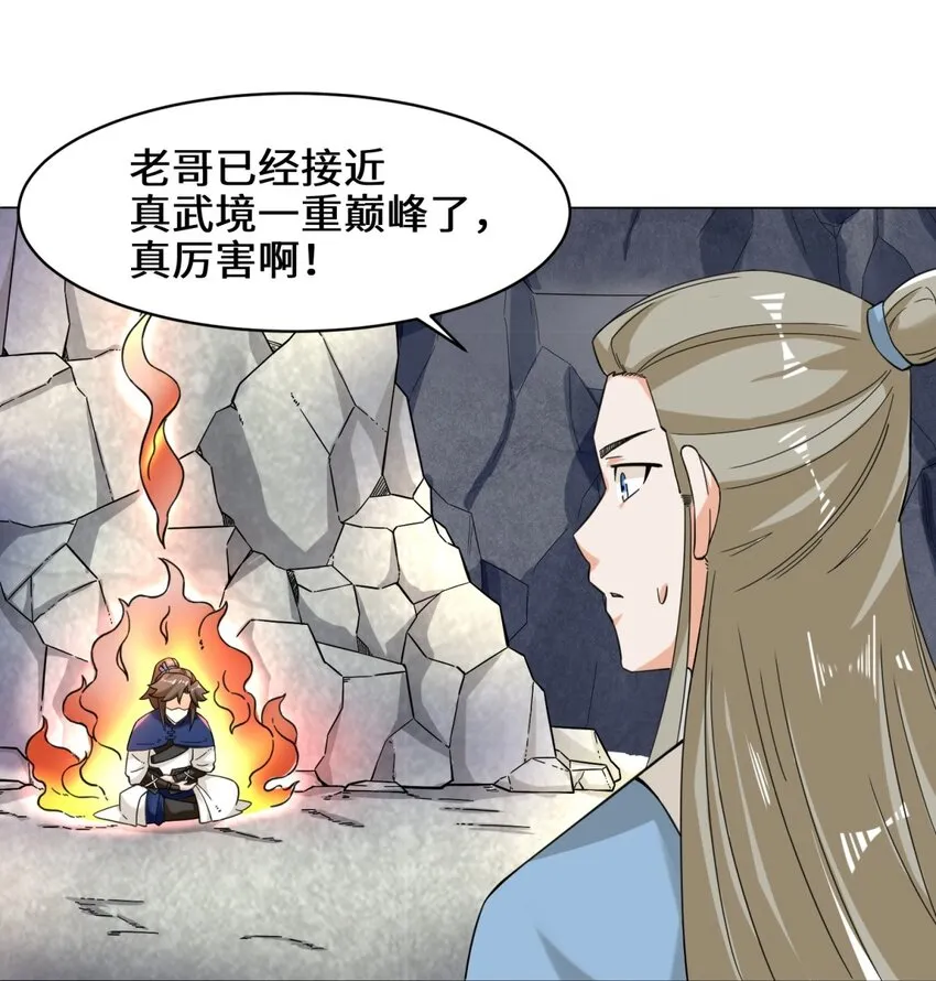 40-第二武魂觉醒 第36页