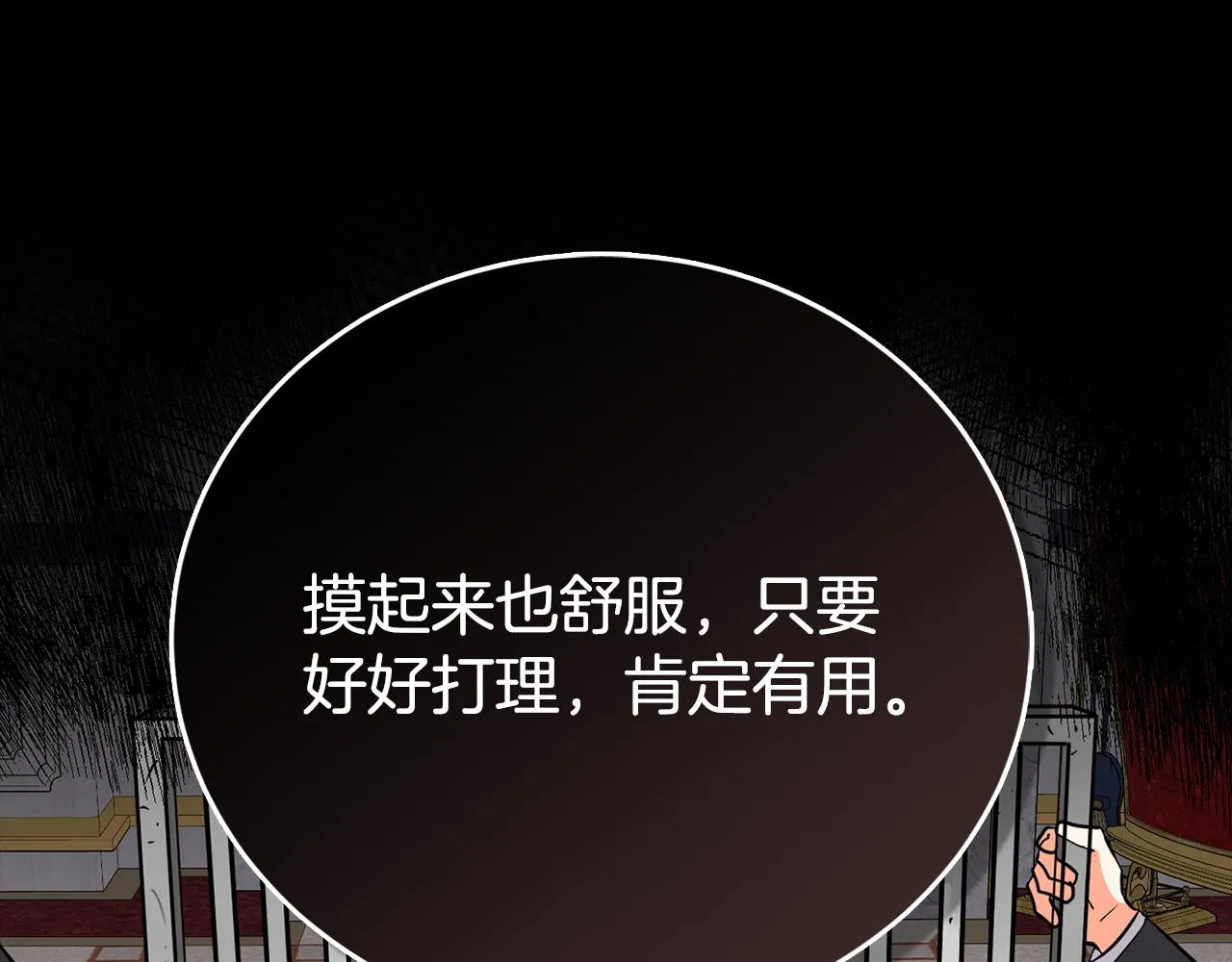 第2话 奴隶兽人是异国王子？ 第161页