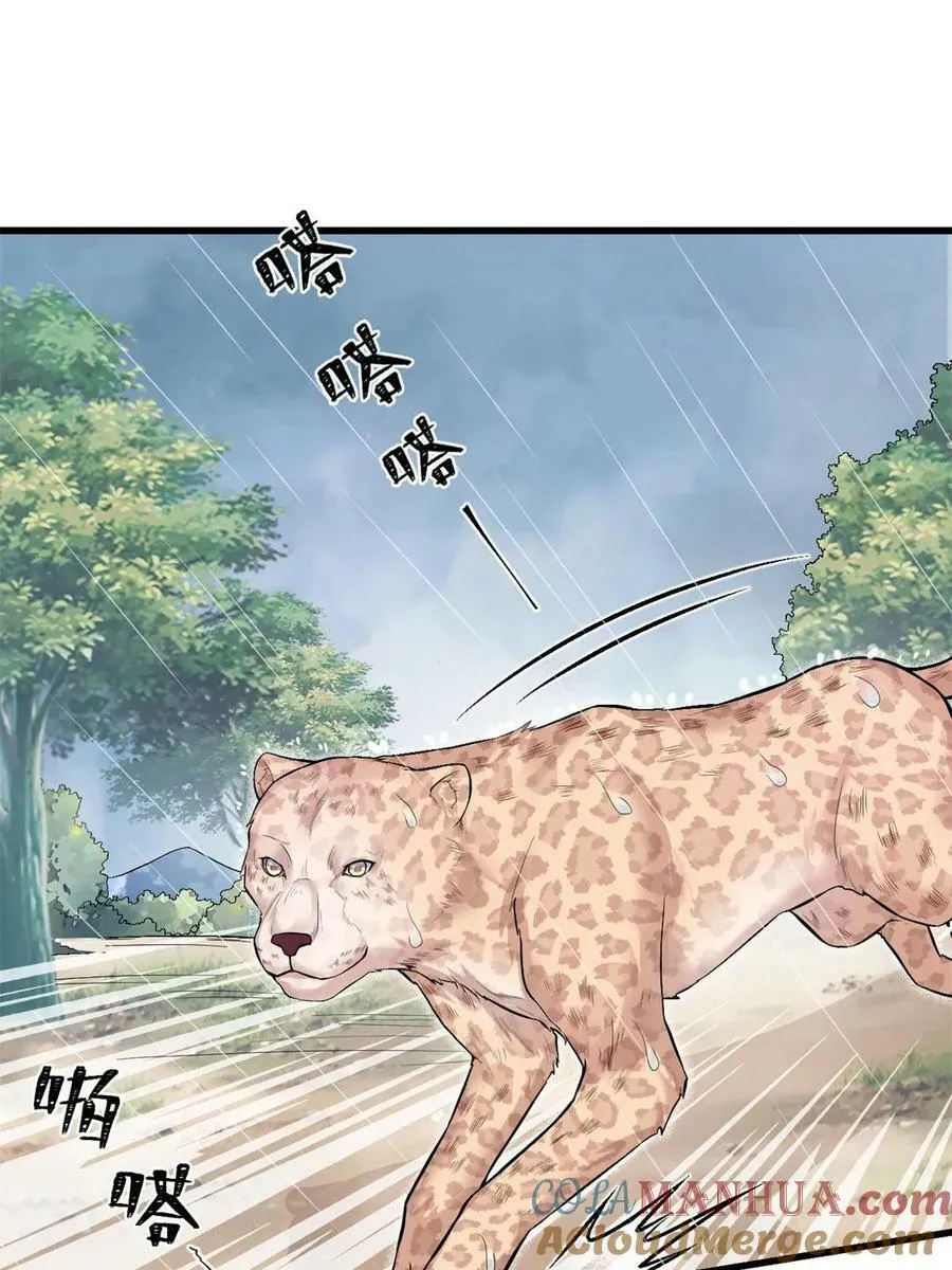 459 第10页
