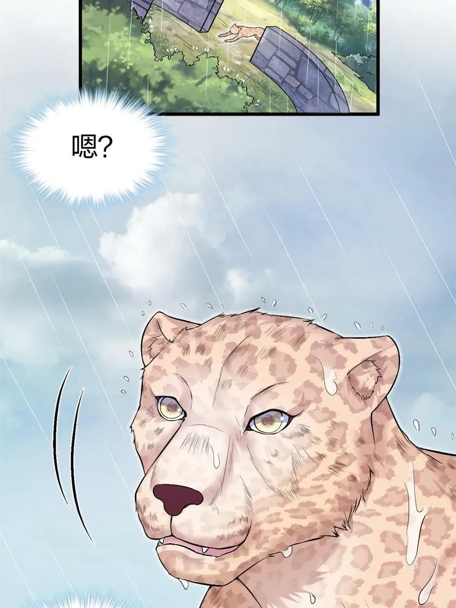 459 第12页