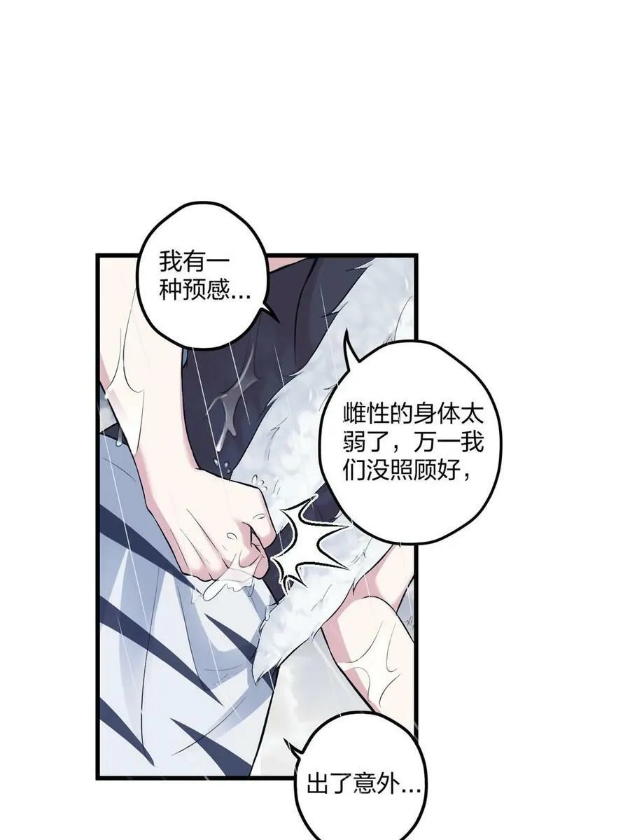 458 第48页