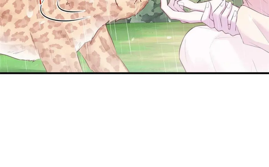 456 第26页