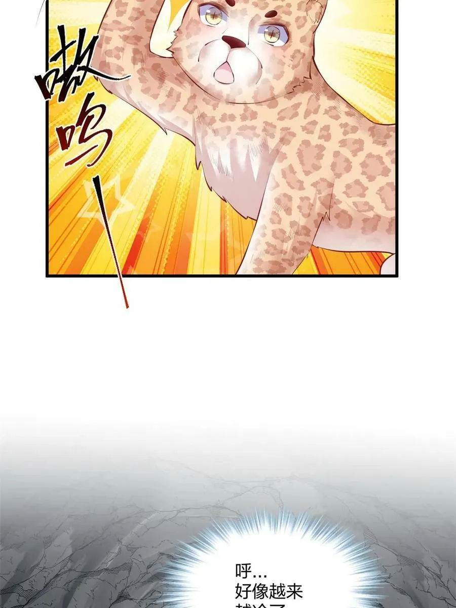 456 第41页