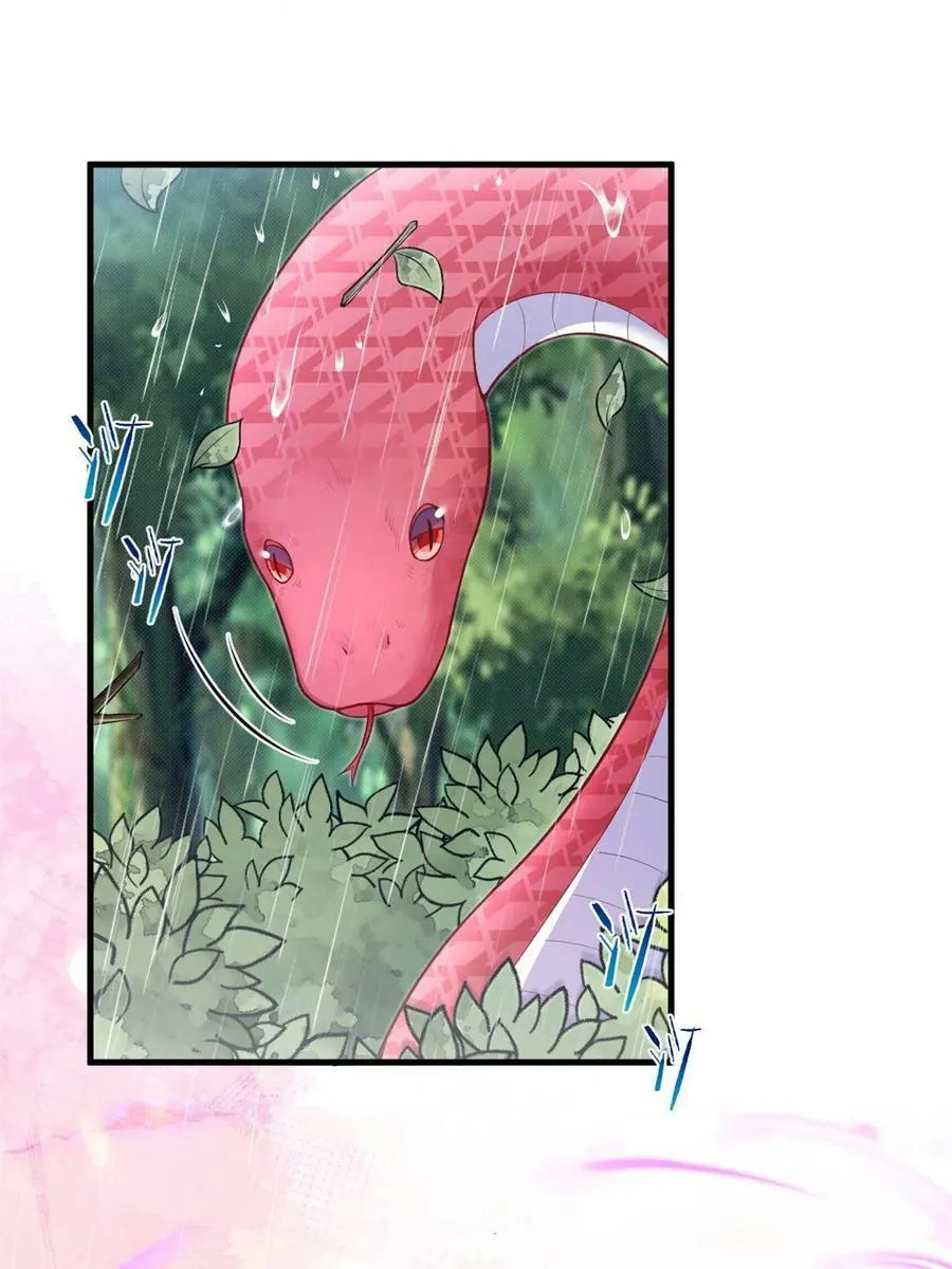 456 第54页