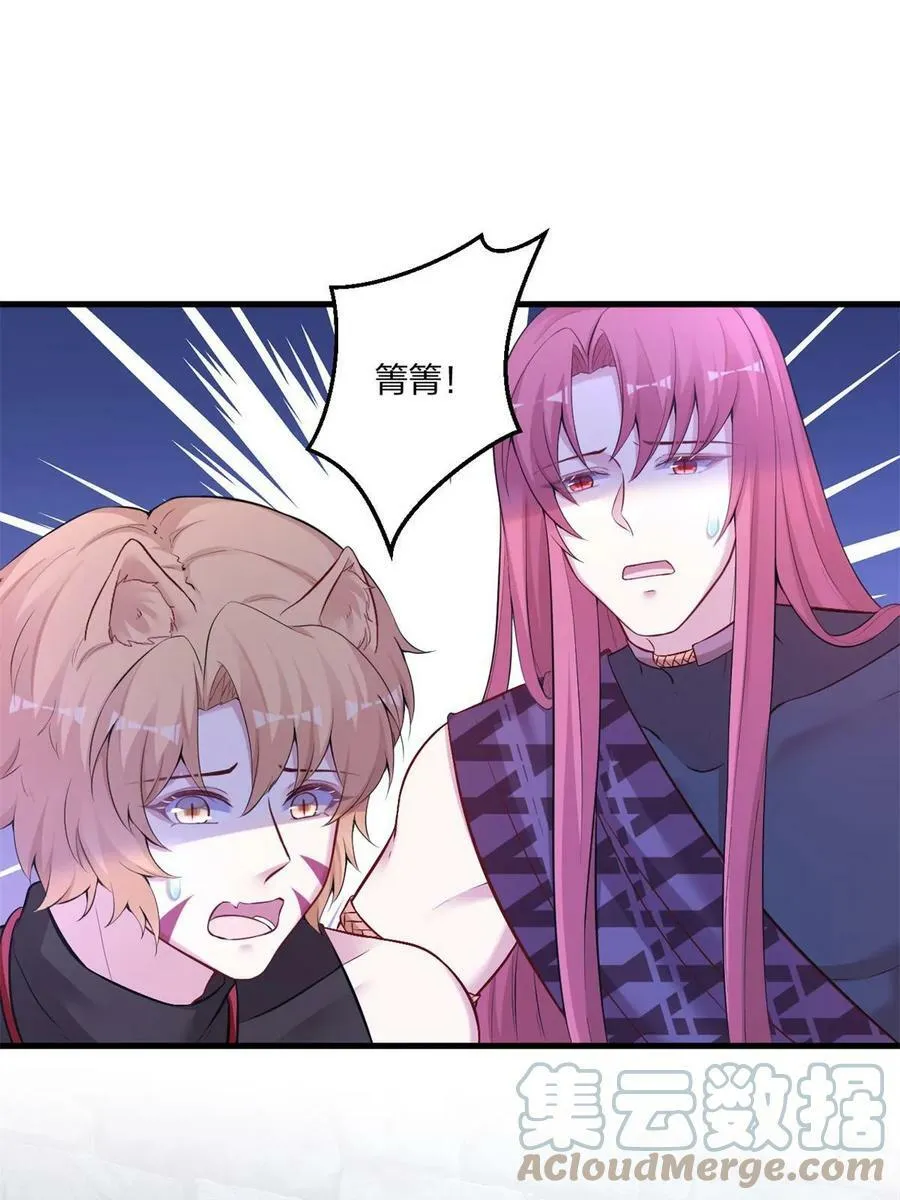 455 第13页