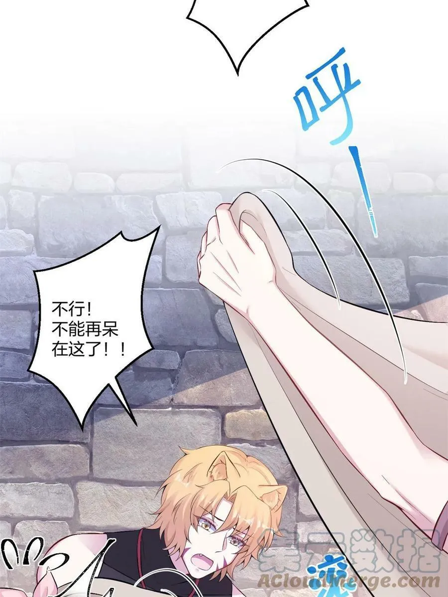 455 第25页