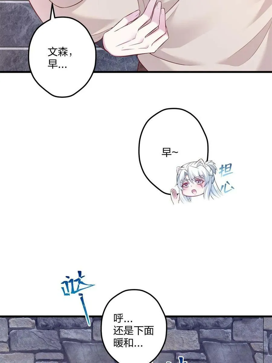 455 第30页