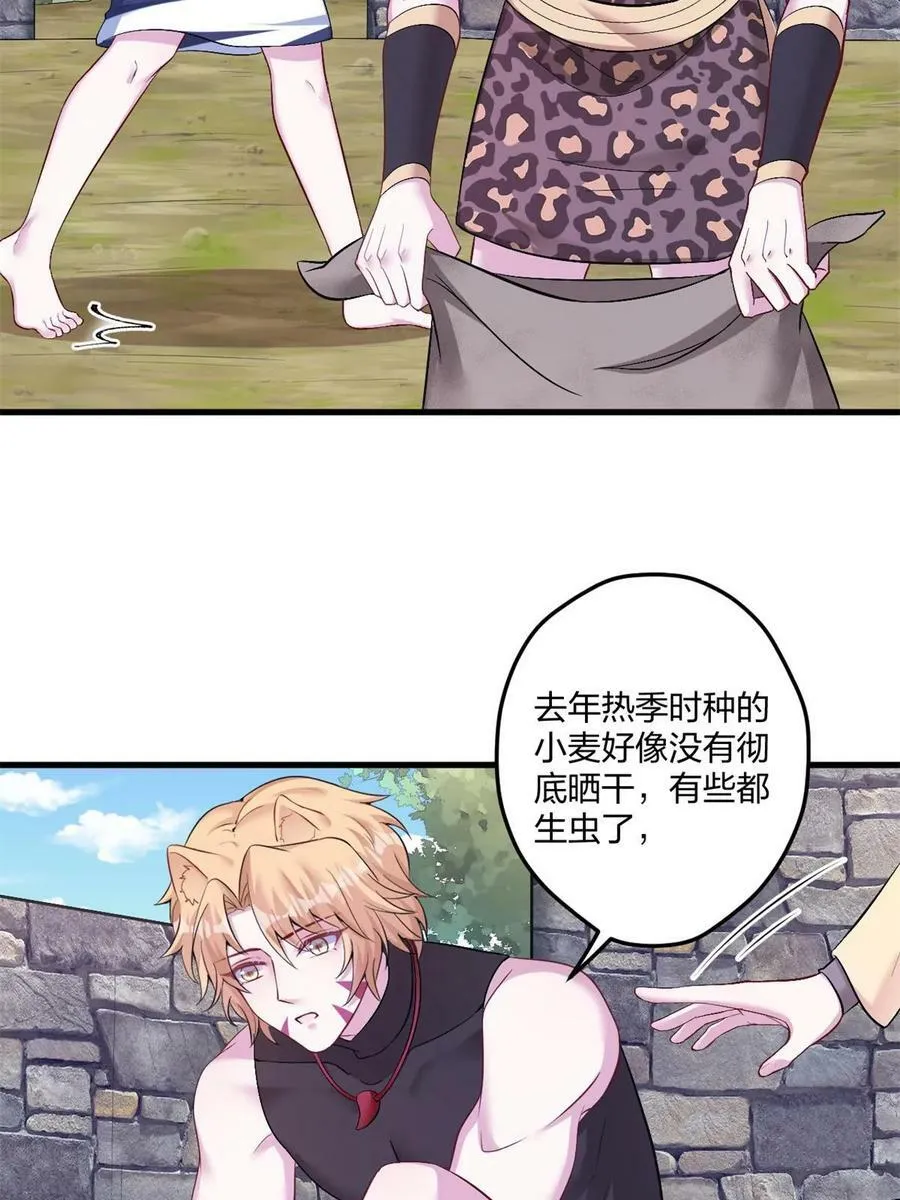 455 第51页